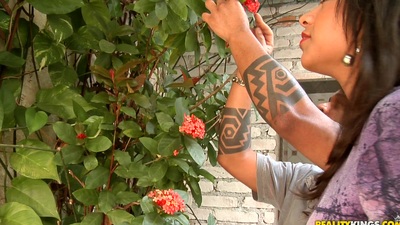 Hello Gringos! We strive a beautiful juvenile cutie hanging